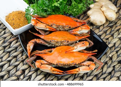 Crab fest. Seafood menu. Steamed crabs. Beer festival.