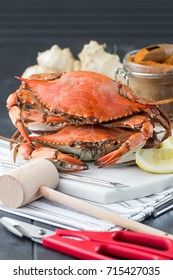 Crab Fest. Seafood Menu. Steamed Crabs. Beer Festival. Steamed Crabs With Spices. Maryland Blue Crabs. 