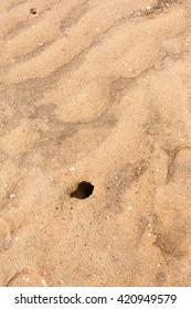 Crab Hole With Broken Seashells On Beach - Overhead View Of A Crab Hole And Broken Seashells On A Tropical Beach.