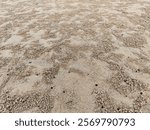 Crab hole on the beach is Dig sand on the beach - Grey sand nature abstract background, Round granules from sand are made by small crab crabs that dig holes in their habitats