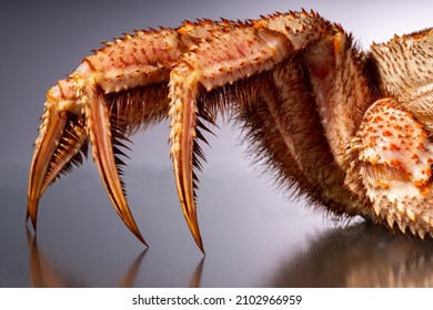 Crab Legs Close Up On Ice Surface