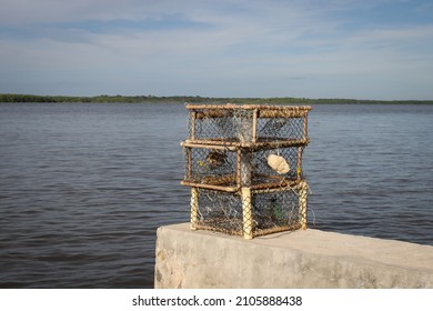 474 Octopus trap Images, Stock Photos & Vectors | Shutterstock