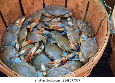Crabs found at Chinatown Philadelphia