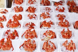 Crabs Packed In Ice On Sale At A Morning Seafood Market In Hakodate, Japan.