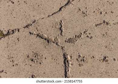 Crack In Concrete Slab. Background