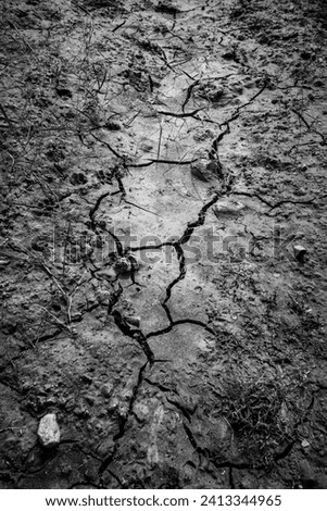 Similar – Image, Stock Photo Earth cracked Summer