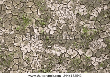 Cracked, arid, and desolate ground, a consequence of desertification and an arid climate - Infertile land parched by the sun - High Angle View.