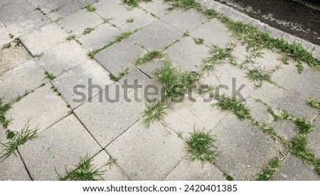 Cracked and broken sidewalk in Thailand. Broken slab on pedestrian road, Damaged paving slabs, Dangerous pedestrian walkway. Footpaths in Thailand are damaged. Path with grass