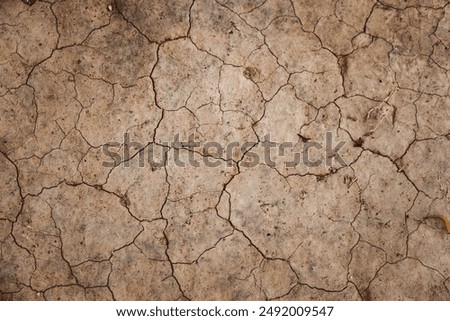 A cracked and broken surface with dirt and debris scattered about. Concept of abandonment and neglect
