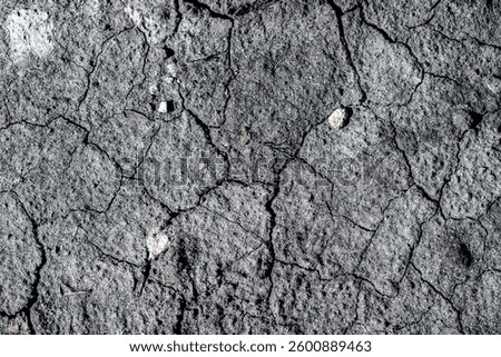 A cracked and broken surface with a small green plant growing out of it. Concept of decay and abandonment