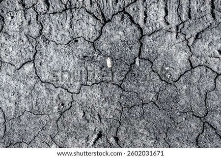 A cracked and broken surface with a small white object in the middle. Concept of decay and abandonment