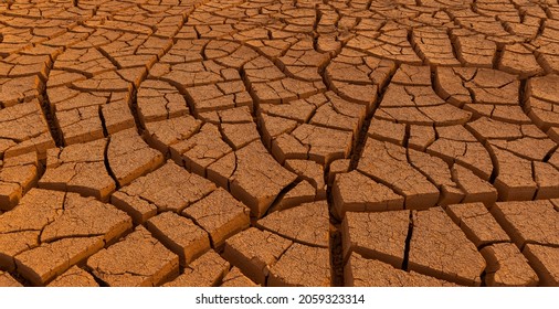 Cracked clay in the desert