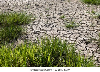 cracked clay ground into the dry season , Effects of global warming. Cracks of the dried soil in arid season.