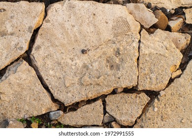 A Cracked Concrete Slab With A Rough Rough Surface Split Into Pieces