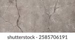 Cracked concrete surface with a linear pattern, illuminated by natural light
