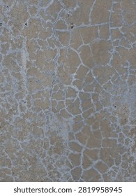 Cracked Concrete Surface Texture Background 

A close-up background shot of a weathered cement floor showing a dense network of fine spiderweb cracks and white mineral deposits.