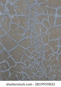 Cracked Concrete Surface Texture Background 

A close-up background shot of a weathered cement floor showing a dense network of fine spiderweb cracks and white mineral deposits.