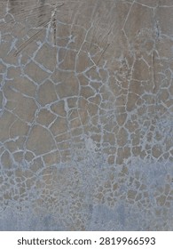 Cracked Concrete Surface Texture Background 

A close-up background shot of a weathered cement floor showing a dense network of fine spiderweb cracks and white mineral deposits.
