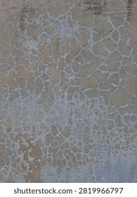 Cracked Concrete Surface Texture Background 

A close-up background shot of a weathered cement floor showing a dense network of fine spiderweb cracks and white mineral deposits.
