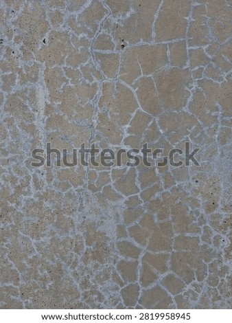 Cracked Concrete Surface Texture Background 

A close-up background shot of a weathered cement floor showing a dense network of fine spiderweb cracks and white mineral deposits.