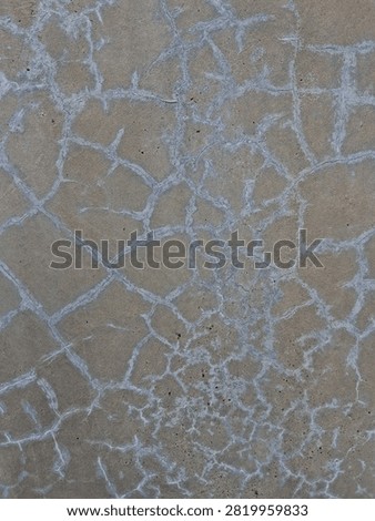 Cracked Concrete Surface Texture Background 

A close-up background shot of a weathered cement floor showing a dense network of fine spiderweb cracks and white mineral deposits.