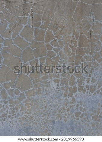 Cracked Concrete Surface Texture Background 

A close-up background shot of a weathered cement floor showing a dense network of fine spiderweb cracks and white mineral deposits.
