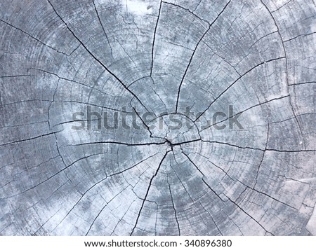 Similar – Image, Stock Photo Crystal on wire mesh fence