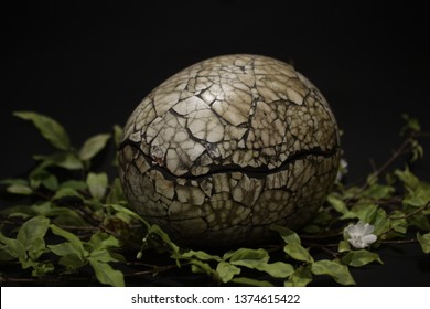 Cracked Dragon Egg In the Black Background.