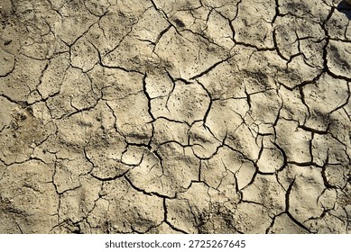 Cracked and dried mud in an empty dam, climate change image