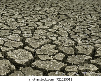 cracked dry ground