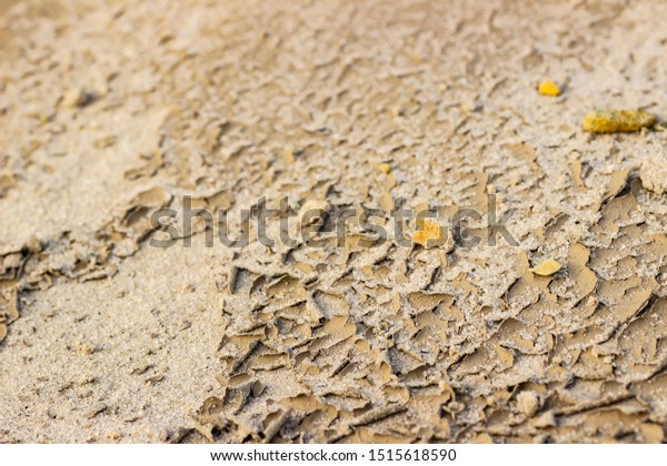 Cracked dry ground sand on the nature outdoors.\
Texture, background,\
sample
