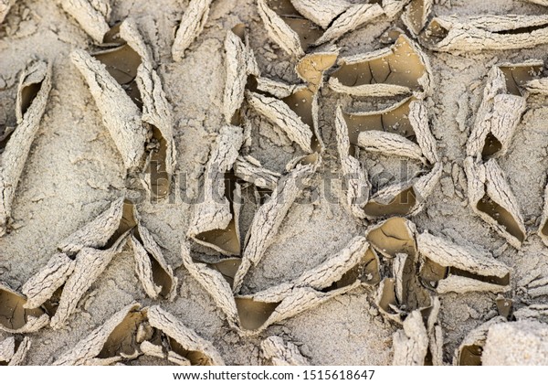 Cracked dry ground sand on the nature outdoors.
Texture, background,
sample