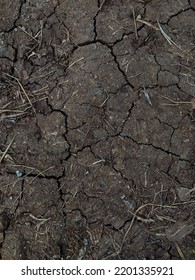 Cracked Dry Ground With Some Dead Grass