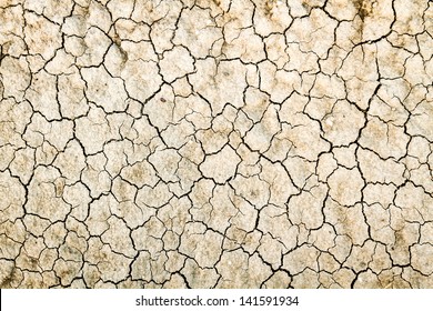 Cracked Dry Land Without Water