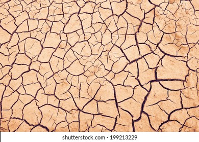 Cracked Earth