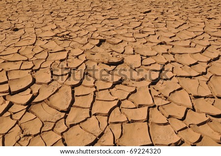Cracked Earth Background