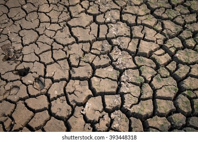 Cracked earth , Dry Season 