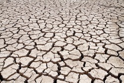 Cracked Earth On A Dry Lake Bed