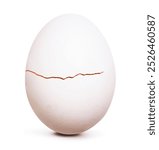 Cracked Egg with Clipping Paths.