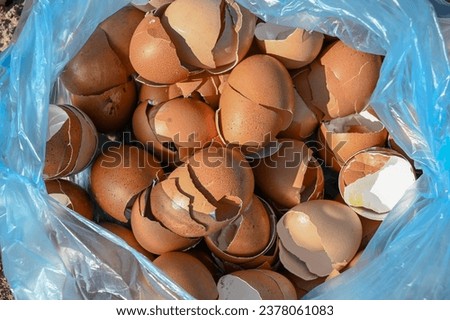 Cracked eggshells. Eggshells in a bag. Eggshells are good for enriching agricultural soil because they are rich in calcium. Natural eggshell fertilizer.