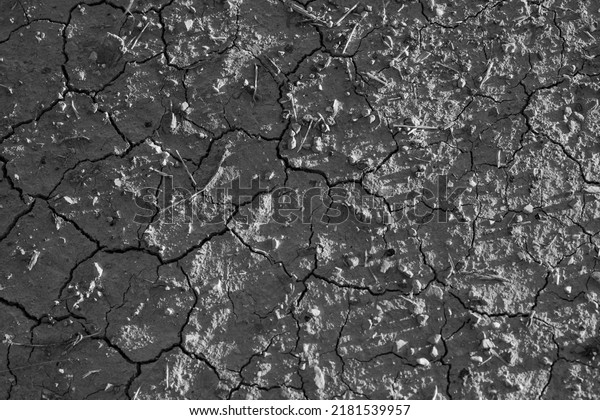 Cracked graphite\
Moon Surface. Moon ground. Planet rock seamless texture. Texture of\
dark grey dry cracked\
earth.