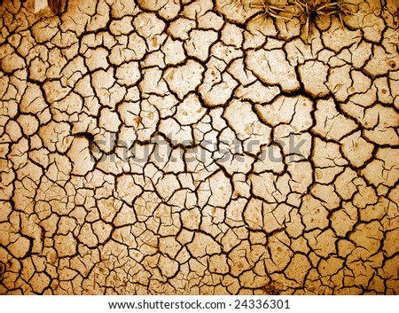 Cracked ground