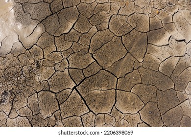 Cracked Ground For Background, Drought, Cracked Ground