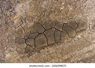 Cracked Ground For Background, Drought, Cracked Ground