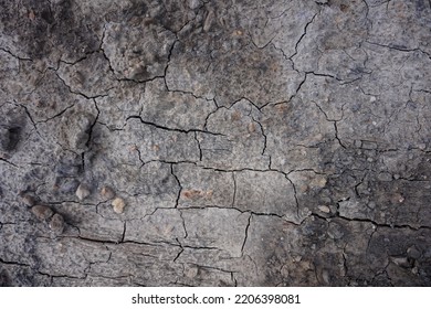 Cracked Ground For Background, Drought, Cracked Ground