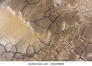 Cracked Ground For Background, Drought, Cracked Ground