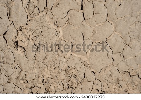 Cracked ground texture. 
Parched earth. Drought