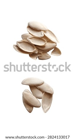 Cracked melon seed shells isolated on white background. Top pile showing inner concave side and bottom pile showing outer convex side of empty melon husks. Concept of shelled seeds, food waste, or natural byproduct.