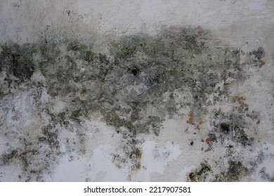  cracked and mossy wall background, polished gray concrete grunge textured wall, rough wall texture background, damaged dirty mossy wall surface