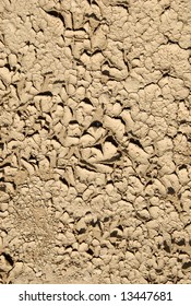 Cracked mud texture